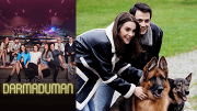 Turkish series Darmaduman episode 6 english subtitles