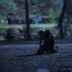 Turkish series İnci Taneleri episode 31 english subtitles