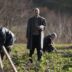 Kral Kaybederse episode 3 online English subtitles